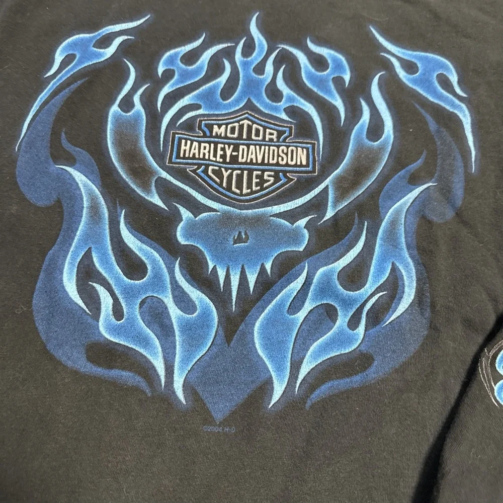 Vintage Harley Davidson Blue Flame Xl Skull Long Sleeve Shirt Biker Ohio - Picture 2 of 6
